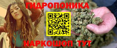 Альфа ПВП Кимры