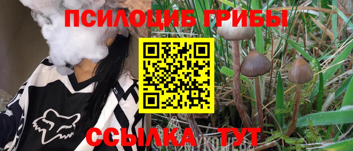 Псилоцибиновые грибы Magic Shrooms Кудымкар