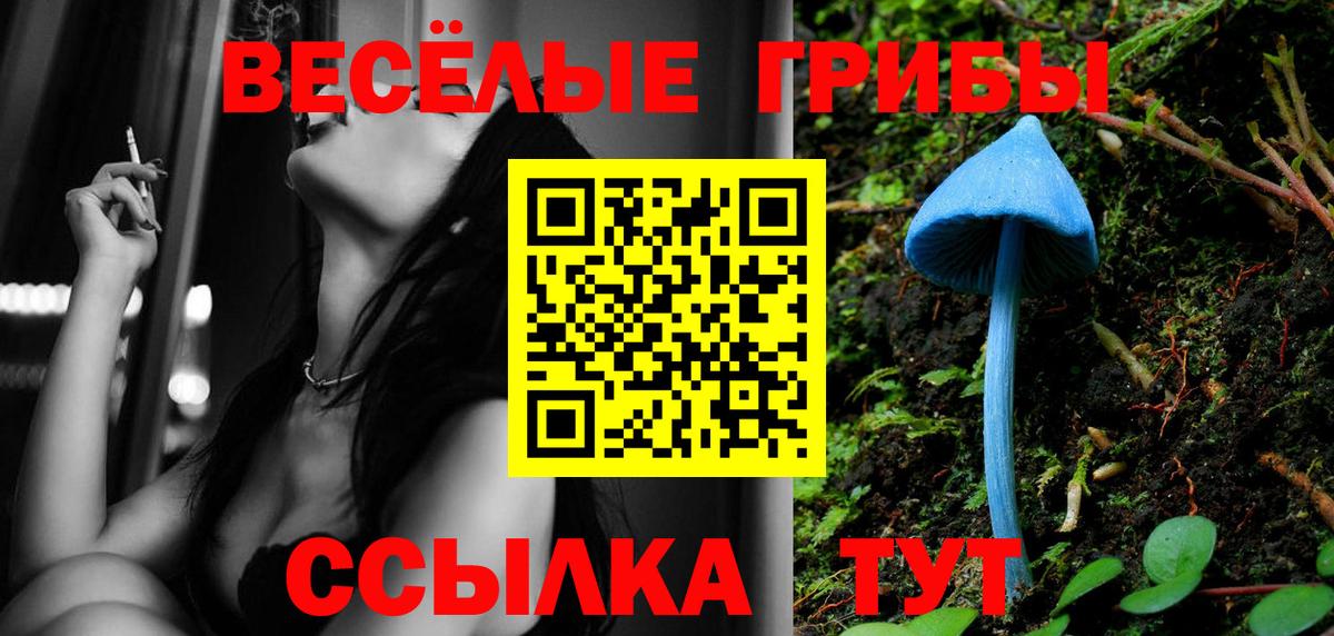 Галлюциногенные грибы Magic Shrooms  Псилоцибиновые грибы Psilocybine cubensis  Вход с VPN  Кудымкар 